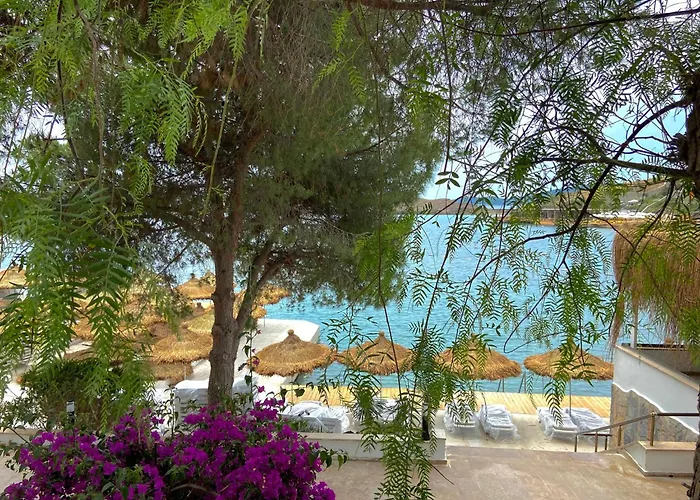 Baska Resort Bodrum Hotel 5*
