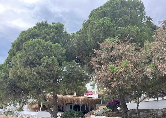 Baska Resort Bodrum 5*