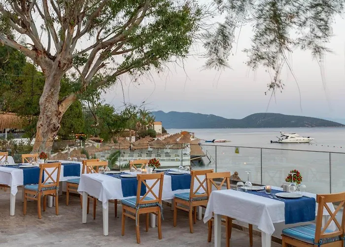 Başka Resort Bodrum 5* Bodrum